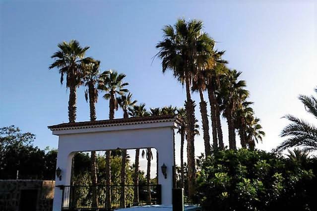 Bungalow La Esquinita Maspalomas  Exterior photo